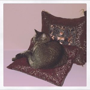 Meet your Posher, Laudan