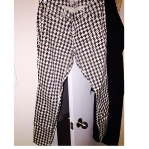 Zara Pants - Trafaluc