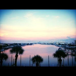 Meet your Posher, Tabitha