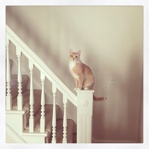 Meet your Posher, Sarah