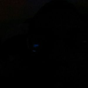 Meet your Posher, Will