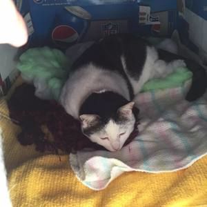 Meet your Posher, Esther