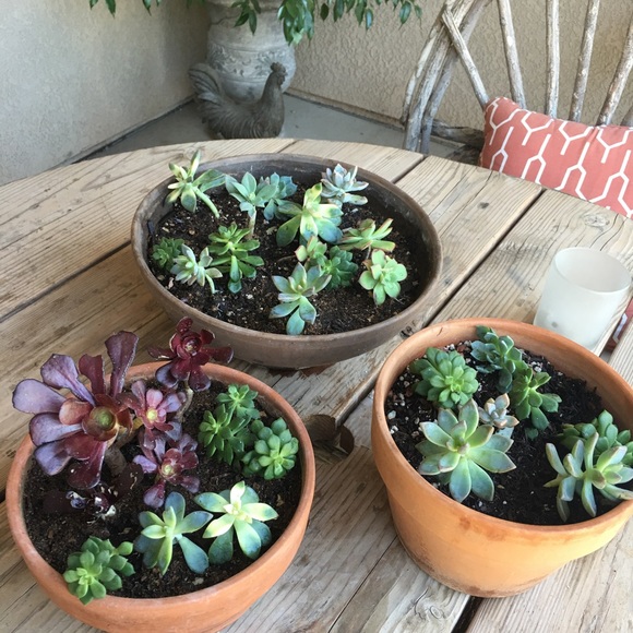 Meet your Posher, Jamie - Picture 2 of 2