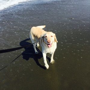 Meet your Posher, Kelly