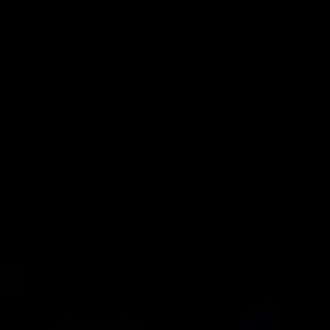 Meet your Posher, Bryant