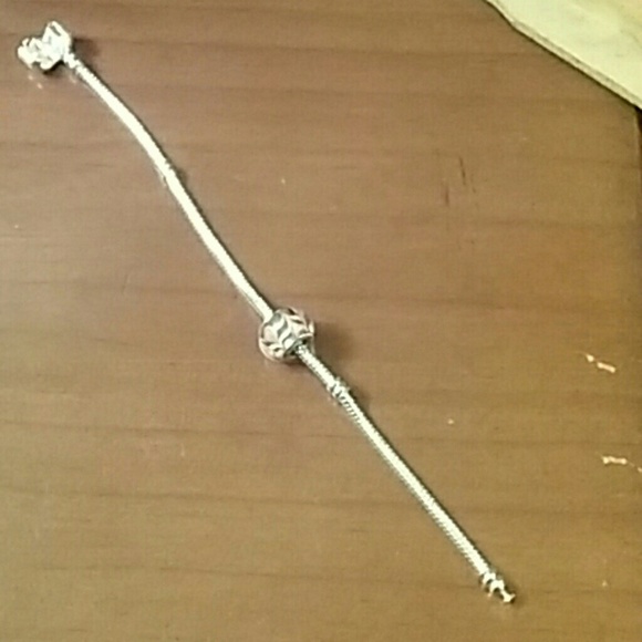 Cute new Pandora bracelet and charm