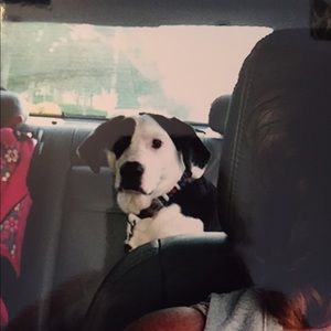 Meet your Posher, Angel