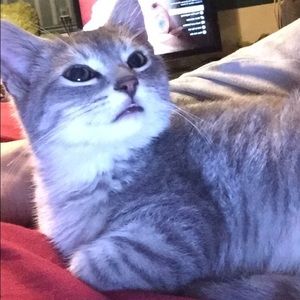 Meet your Posher, Charley