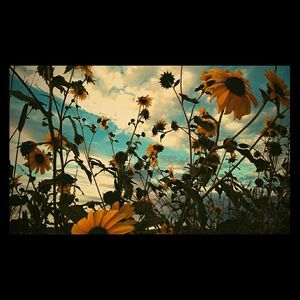 Meet your Posher, Shelbi