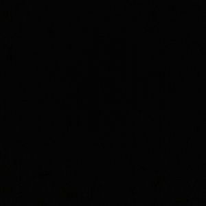 Meet your Posher, Lonnie