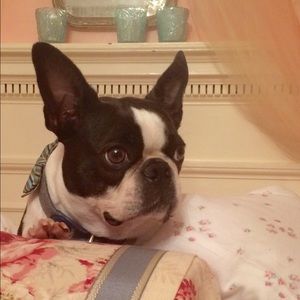 Meet your Posher, Erin