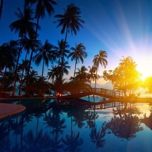 Meet your Posher, Zane