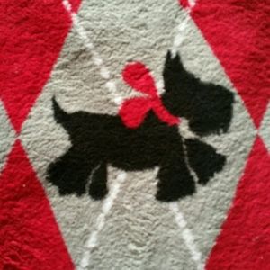 Meet your Posher, Mitzi