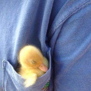 Meet your Posher, Makayla