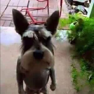 Meet your Posher, Mary