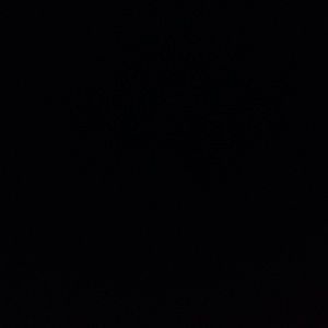 Meet your Posher, Sadie