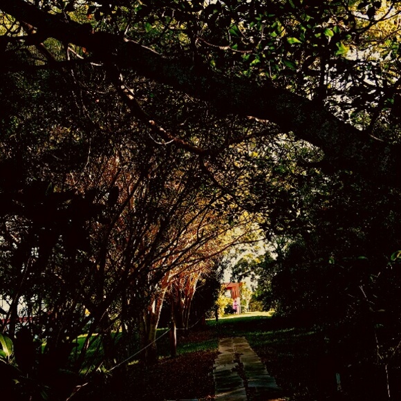 Meet your Posher, Candy - Picture 2 of 4