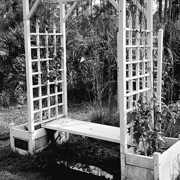 Meet your Posher, Candy - Picture 3 of 4