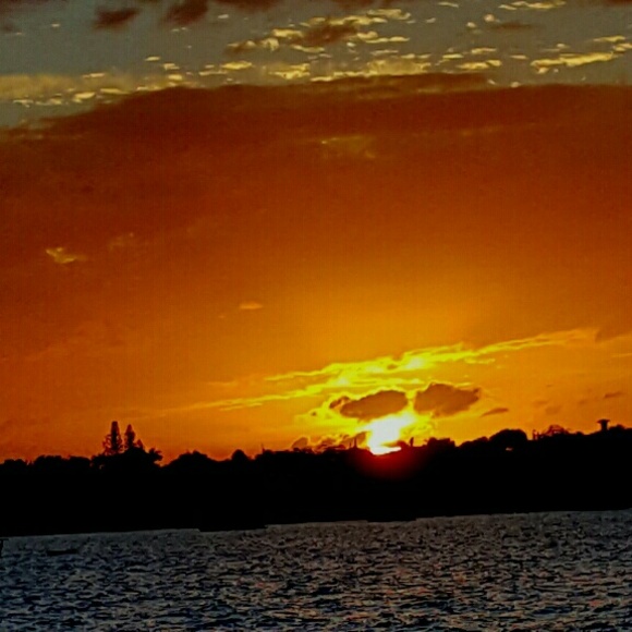 Meet your Posher, Candy - Picture 4 of 4