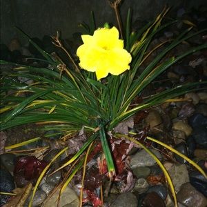 Meet your Posher, Renee