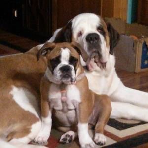 Meet your Posher, Jean