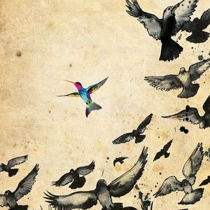 Meet your Posher, Kalli