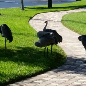 Meet your Posher, Eloise