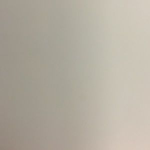 Meet your Posher, Carlie