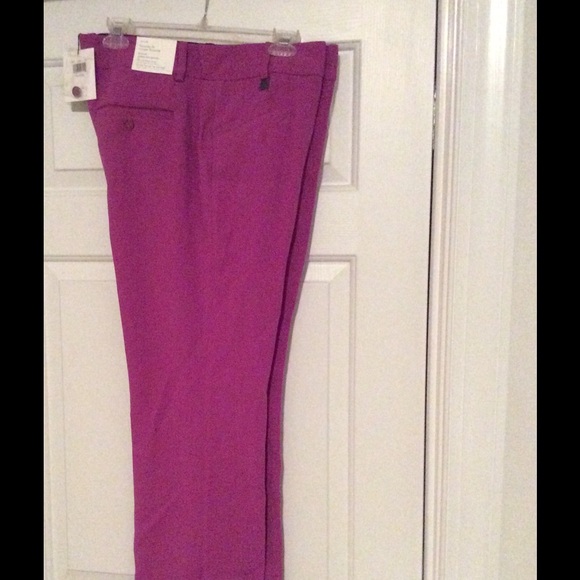 Dress pants
