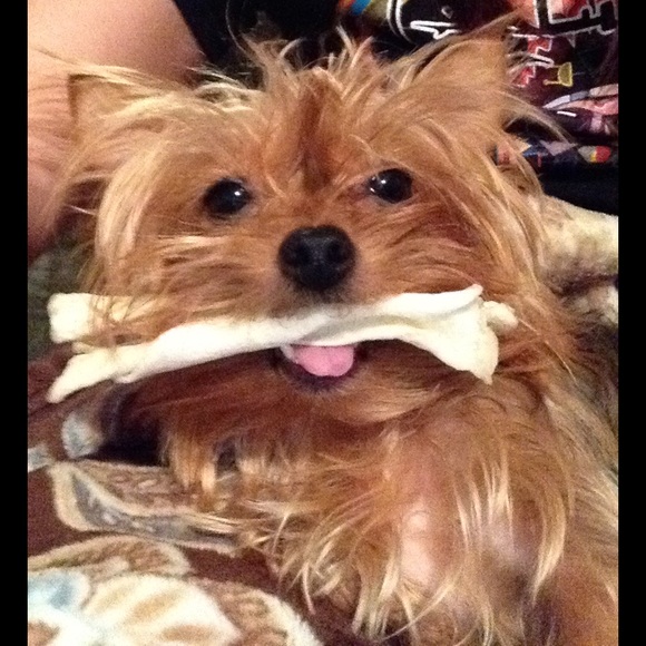 BUNDLE for @nixhexrox