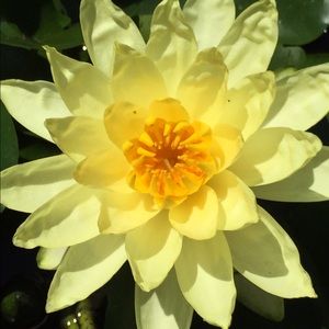 Meet your Posher, Noreen