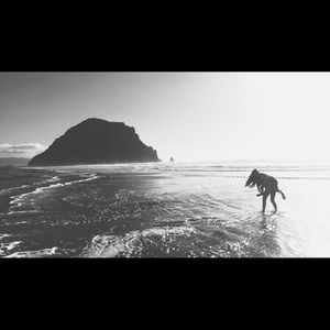 Meet your Posher, Aubrey