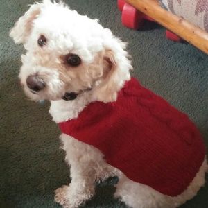 Meet your Posher, Lucy