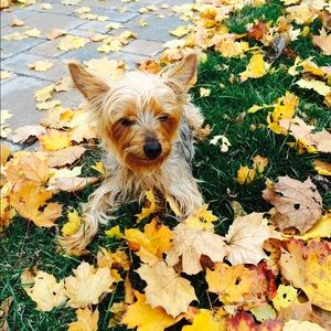 Meet your Posher, Cintia