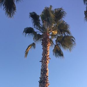 Meet your Posher, Jayme