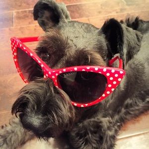 Meet your Posher, Marcia