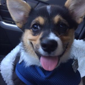 Meet your Posher, Natalie