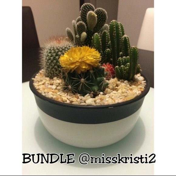 Bundle @misskristi2