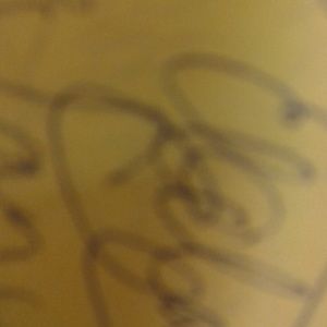 Meet your Posher, Elda