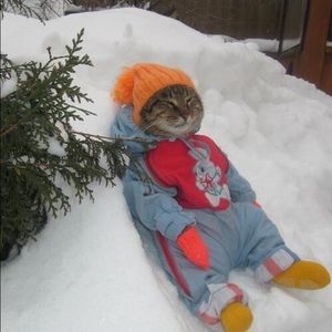 Meet your Posher, Bailey