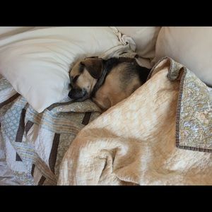 Meet your Posher, Stacey