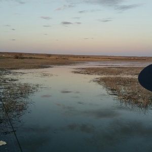 Meet your Posher, Shea