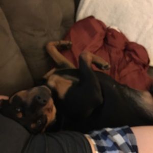 Meet your Posher, Casey