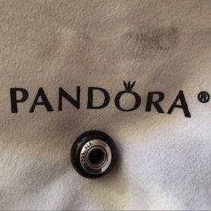 Pandora Retired Dark Wood Bead Charm