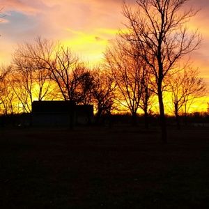 Meet your Posher, Audrey