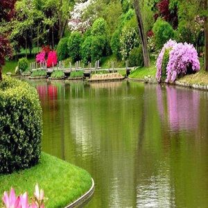 Meet your Posher, Stanley