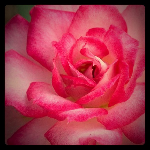 Meet your Posher, Jo H