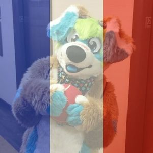 Meet your Posher, Alex