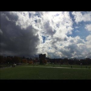 Meet your Posher, Emily