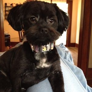 Meet your Posher, Morgan